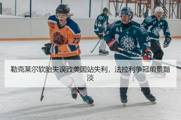 lei-ke-lai-er-ruan-tai-shi-wu-zhi-mei-guo-zhan-shi-li-fa-la-li-zheng-guan-qian-jing-an-dan-2-135.jpg